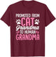 Promoted from Cat Grandma to Human Grandma Funny Cats T-Shirt - T-Shirt | Maroon