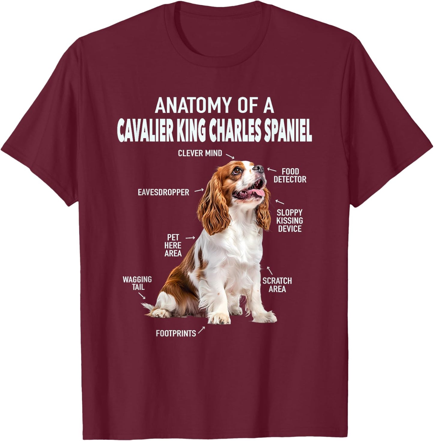 Anatomy Of A Cavalier King Charles Spaniel T-Shirt - T-Shirt | Maroon