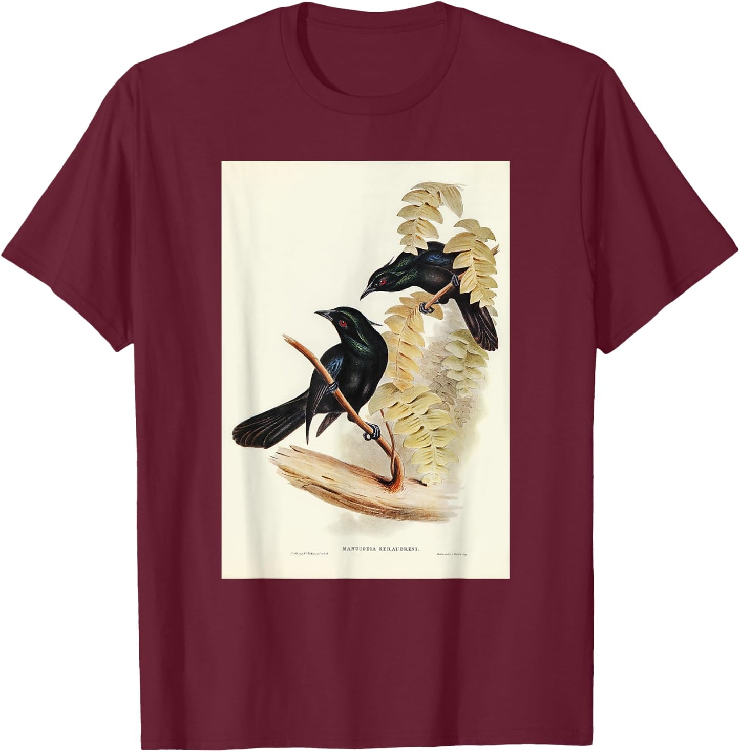 Keraudren's Crow-Shrike Birds Illustration & Women T-Shirt - T-Shirt | Maroon
