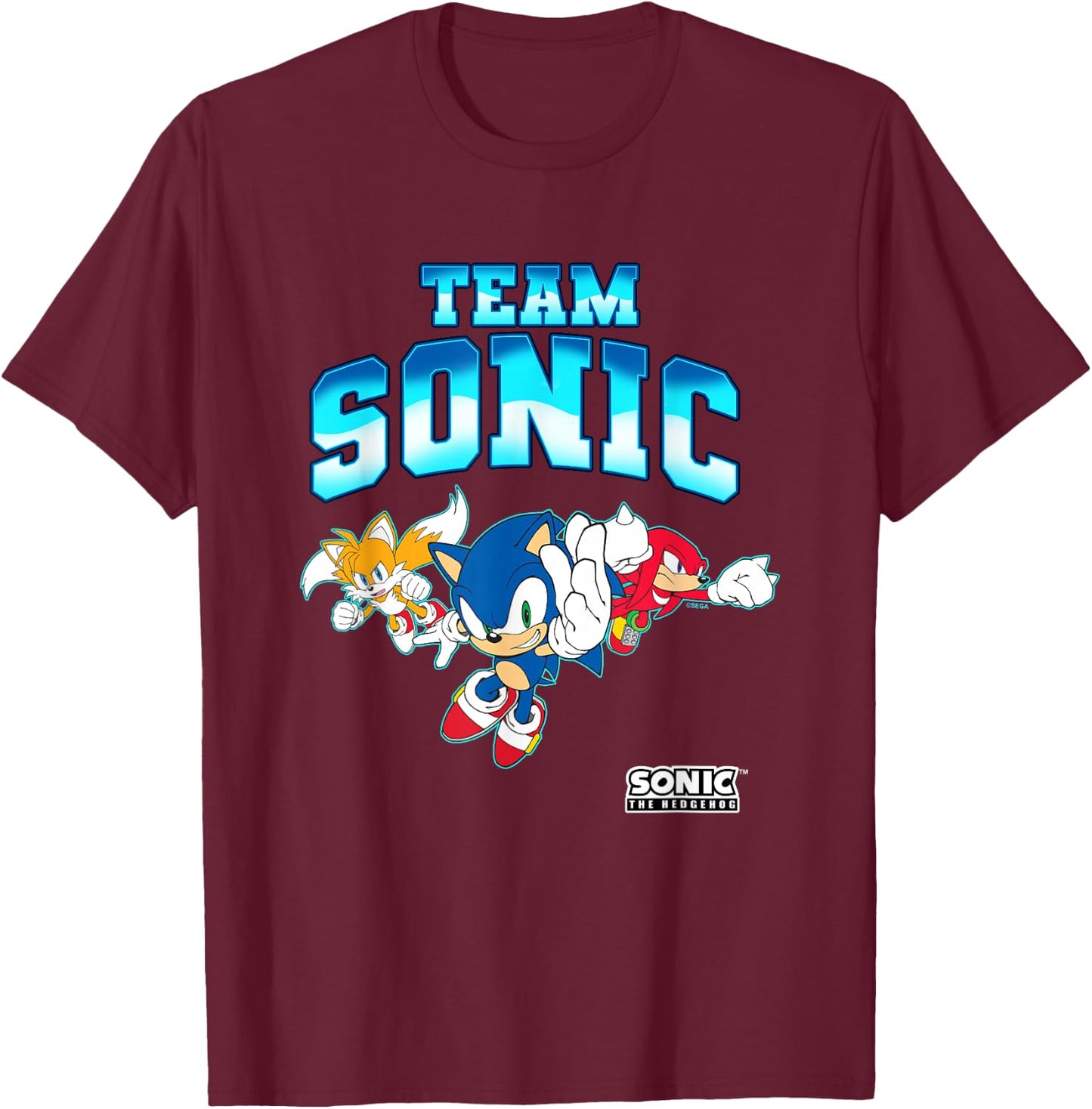 Sonic The Hedgehog Team Sonic Epic Group Shot T-Shirt - T-Shirt | Maroon