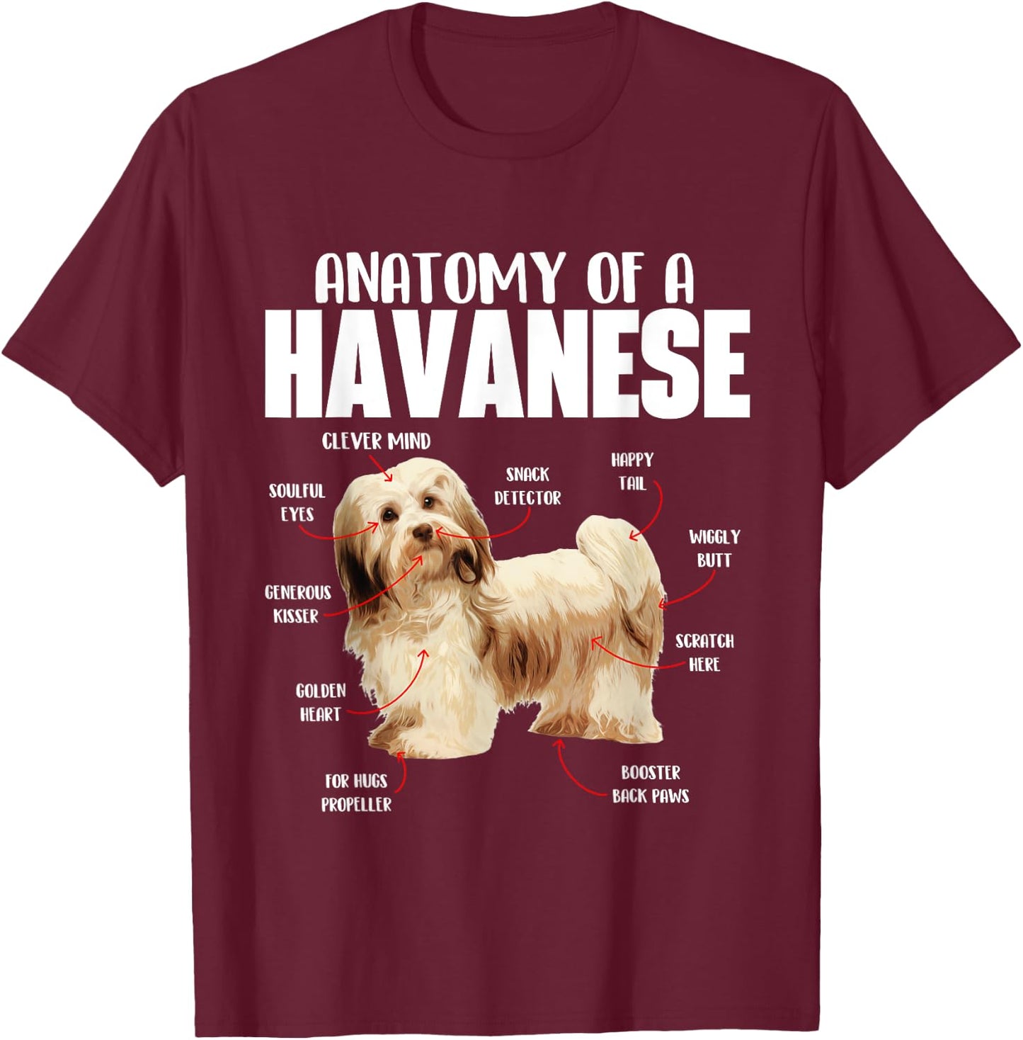 Havanese Dog Shirts Anatomy Of A Havanese - Cuban Havaneser Havanezer T-Shirt - T-Shirt | Maroon