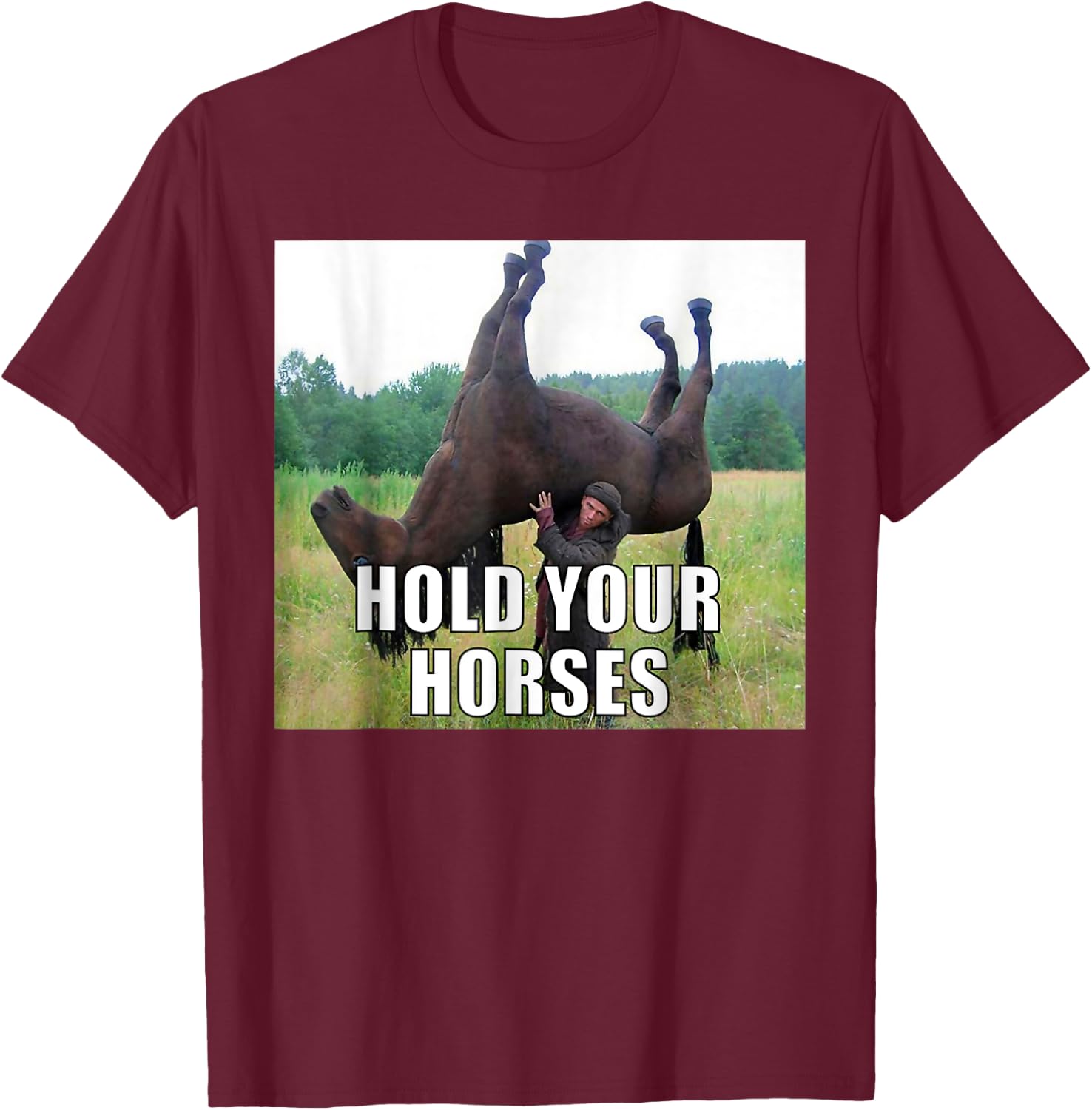 Hold Your Horses Dad Joke Funny Oddly Specific Dank Meme T-Shirt - T-Shirt | Maroon
