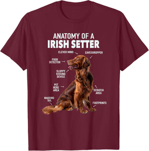 Anatomy Of A Irish Setter T-Shirt - T-Shirt | Maroon