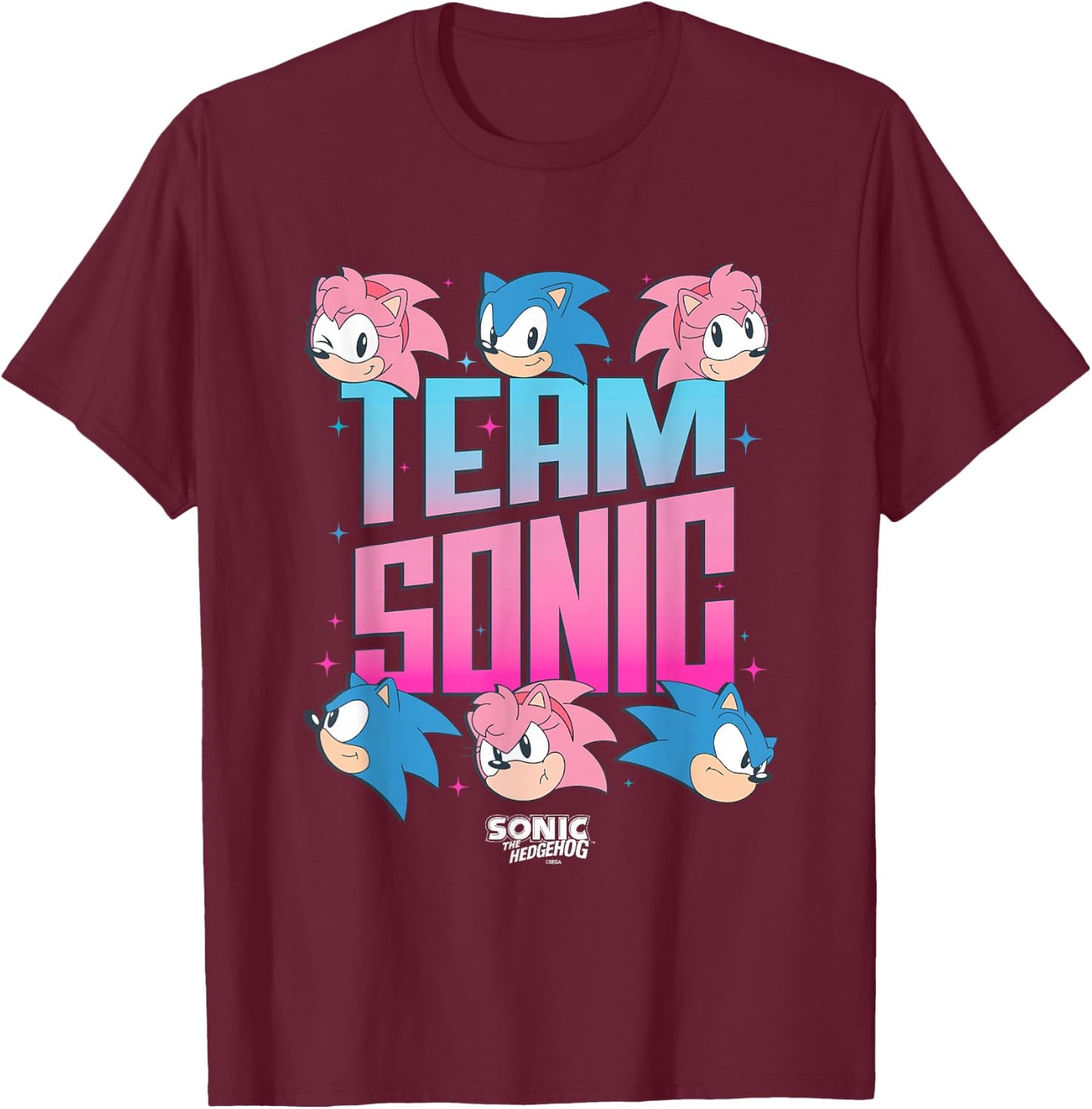 Sonic The Hedgehog Team Sonic Amy Rose Retro Logo T-Shirt - T-Shirt | Maroon