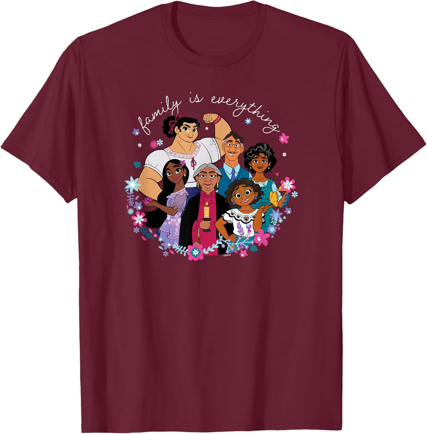 Encanto - Family is Everything T-Shirt - T-Shirt | Maroon