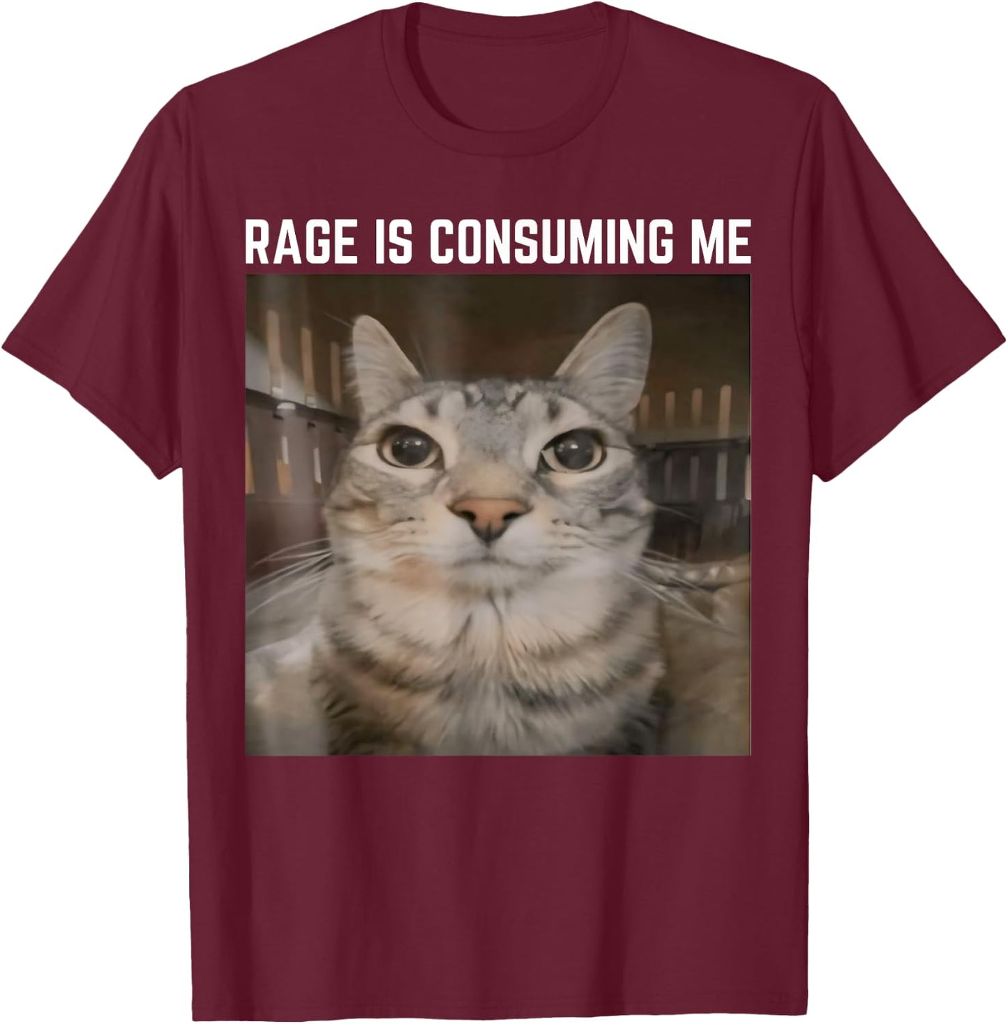 Rage is Consuming Me Meme Cat Meme Oddly Specific Memes Joke T-Shirt - T-Shirt | Maroon