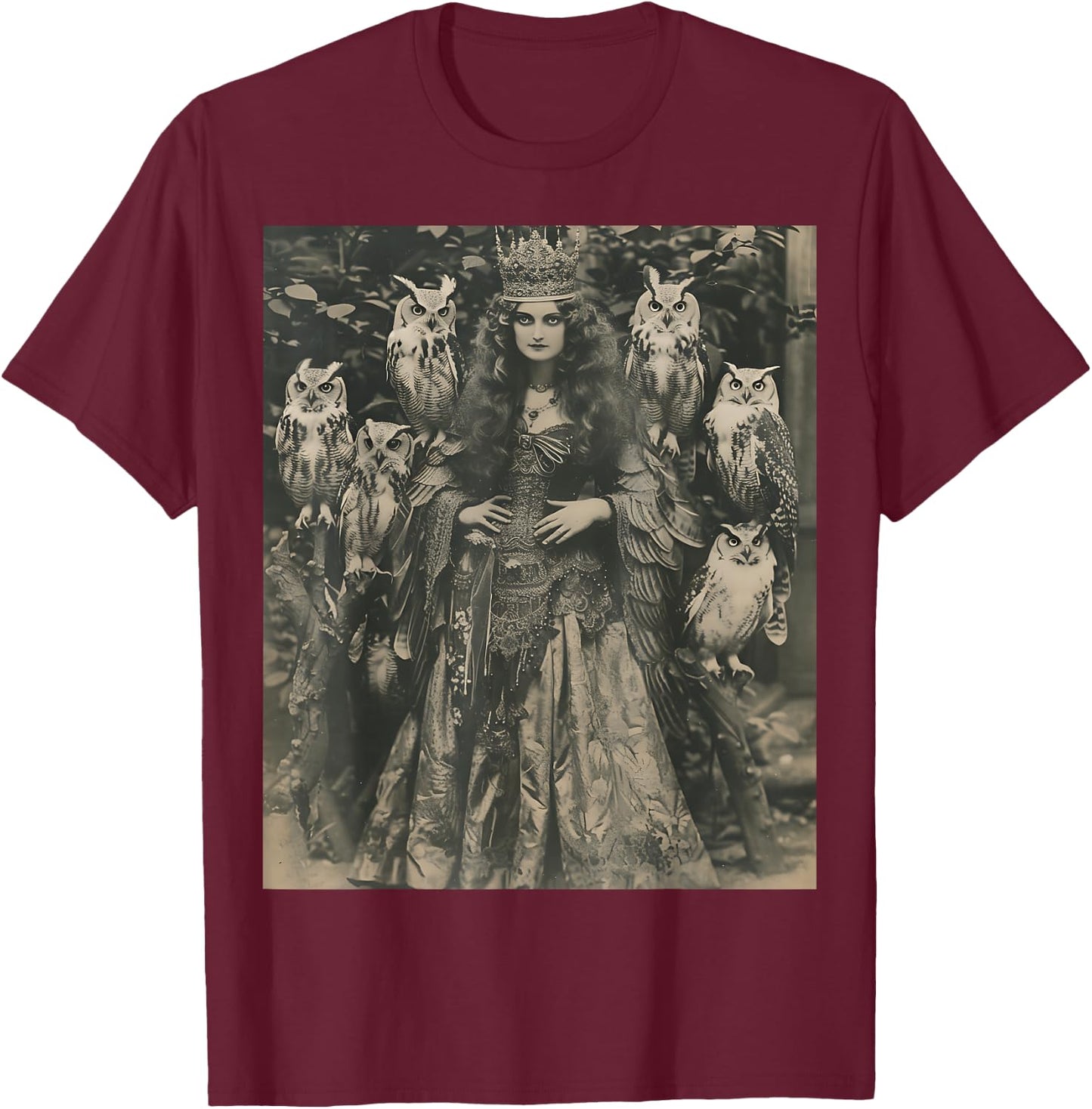 Vintage Witch Sorceress With Raptor Owl Birds Goth Gothic T-Shirt - T-Shirt | Maroon