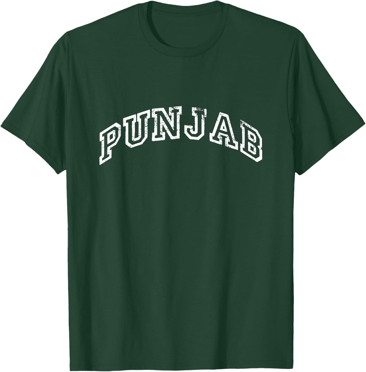 Punjab Minimalist Vintage Inspired Retro Varsity Style T-Shirt - T-Shirt | Forest
