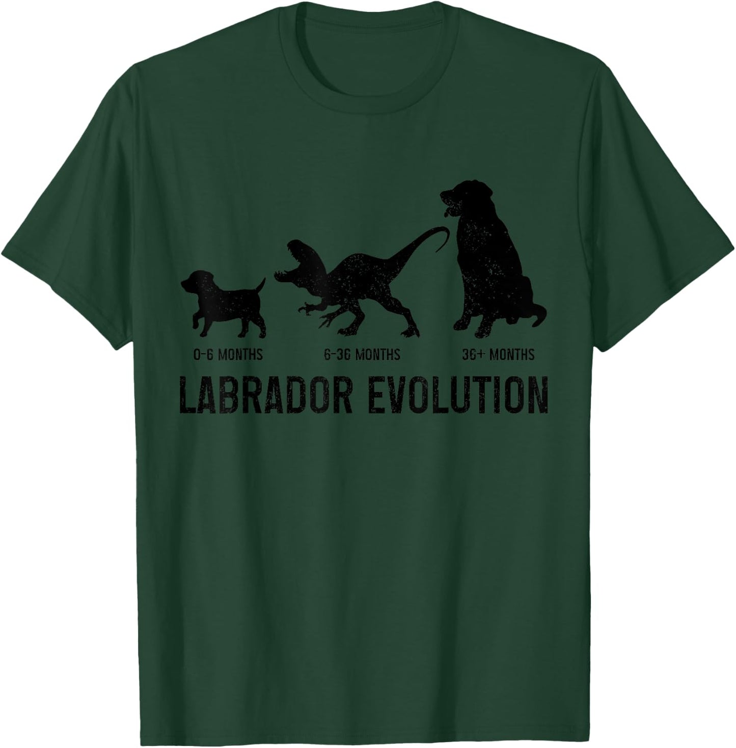 Labrador Evolution Funny Labrador Retriever Mom Dad Dog T-Shirt - T-Shirt | Forest
