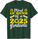 Proud Lil Sister of a 2025 Graduate Shirt, Graduation T-Shirt - T-Shirt | Forest