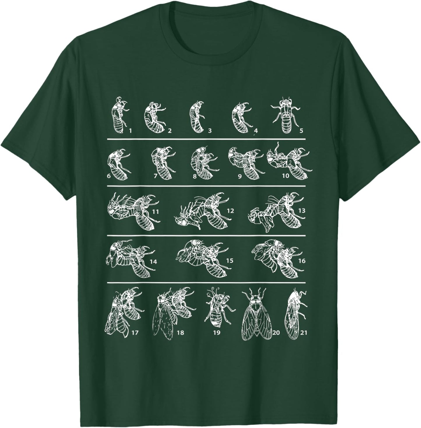 Funny Cicada Shirt Cicadas Life Cycle 2024 Entomologist T-Shirt - T-Shirt | Forest