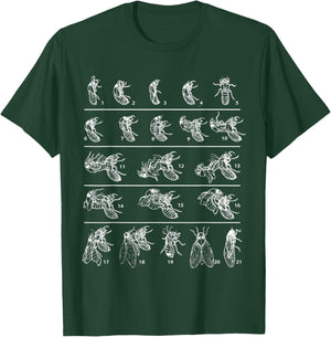 Funny Cicada Shirt Cicadas Life Cycle 2024 Entomologist T-Shirt - T-Shirt | Forest