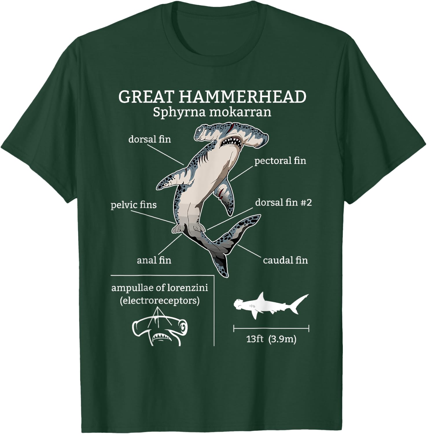 Great Hammerhead Shark Anatomy Ocean Animal Marine Biologist T-Shirt - T-Shirt | Forest