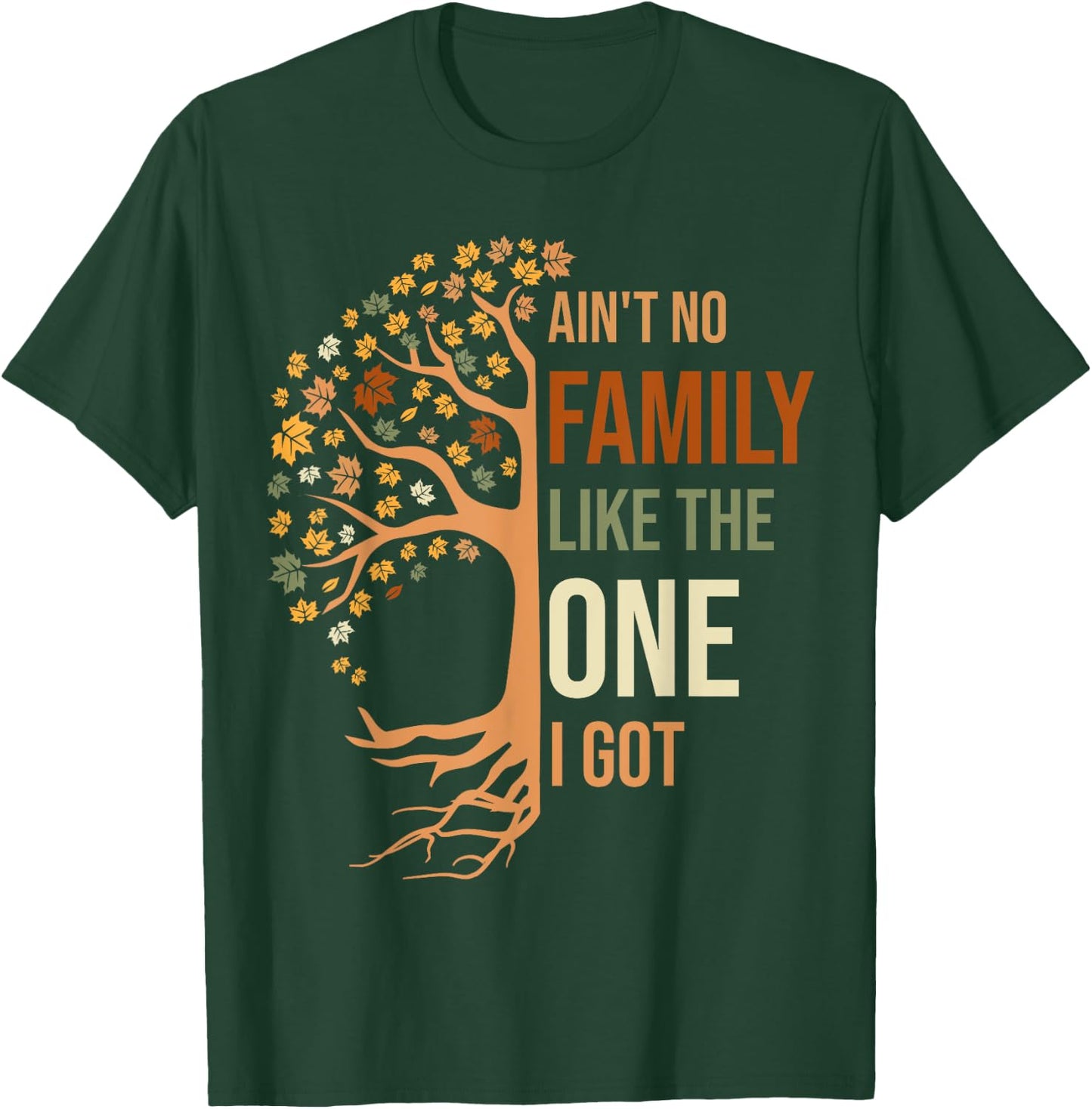 Ain't No Family Like The One I Got Funny Family Reunion T-Shirt - T-Shirt | Forest