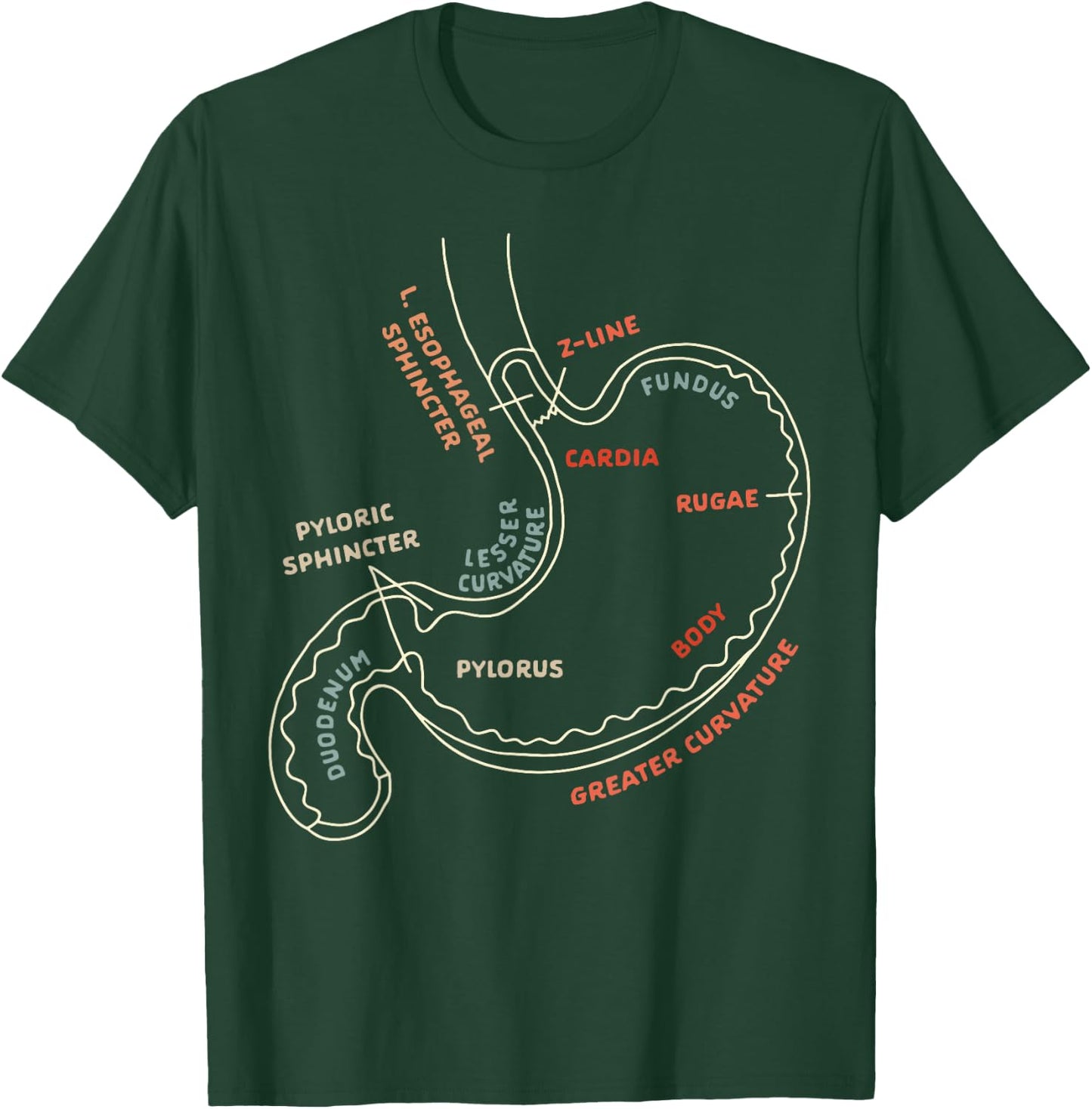 Gastroenterologist GI Nurse Gastroparesis Stomach Anatomy T-Shirt - T-Shirt | Forest