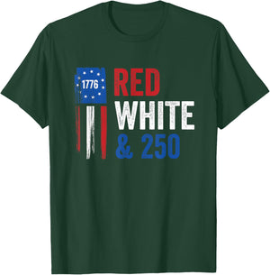 USA 250th Year America Anniversary 4th of July T-Shirt - T-Shirt | Forest