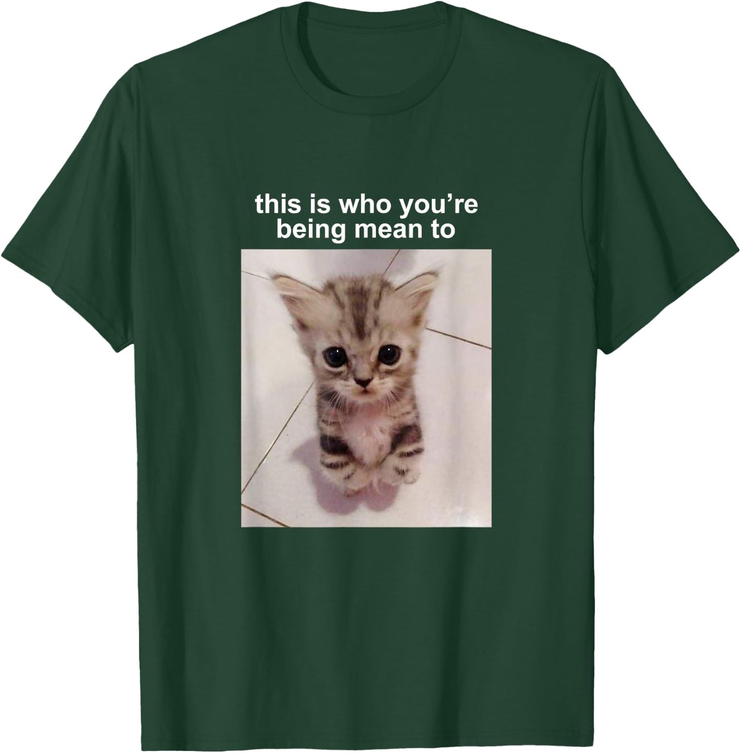 This is Who You're Being Mean to Silly Cat Meme T-Shirt - T-Shirt | Forest