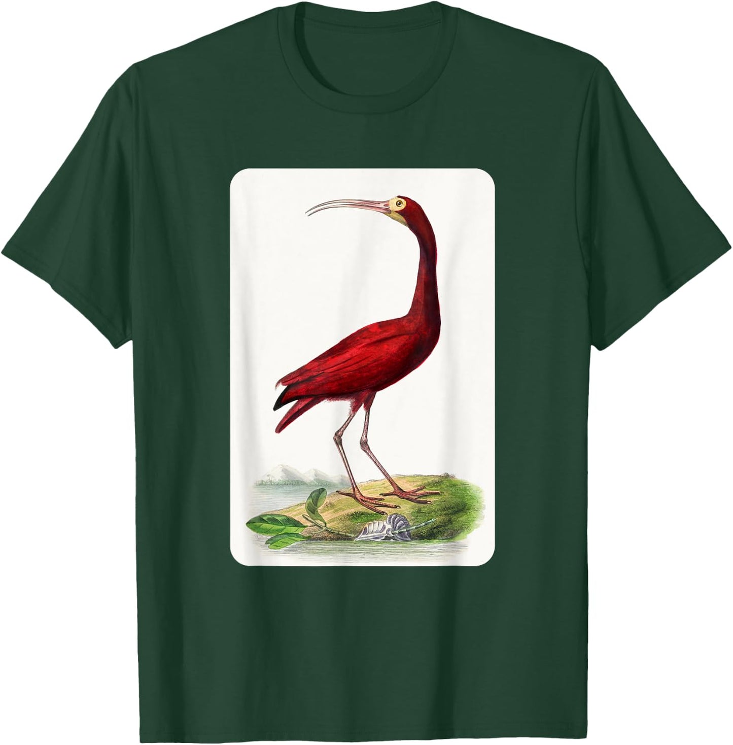 Vintage Scarlet Ibis Bird Illustration Animal Lover T-Shirt - T-Shirt | Forest
