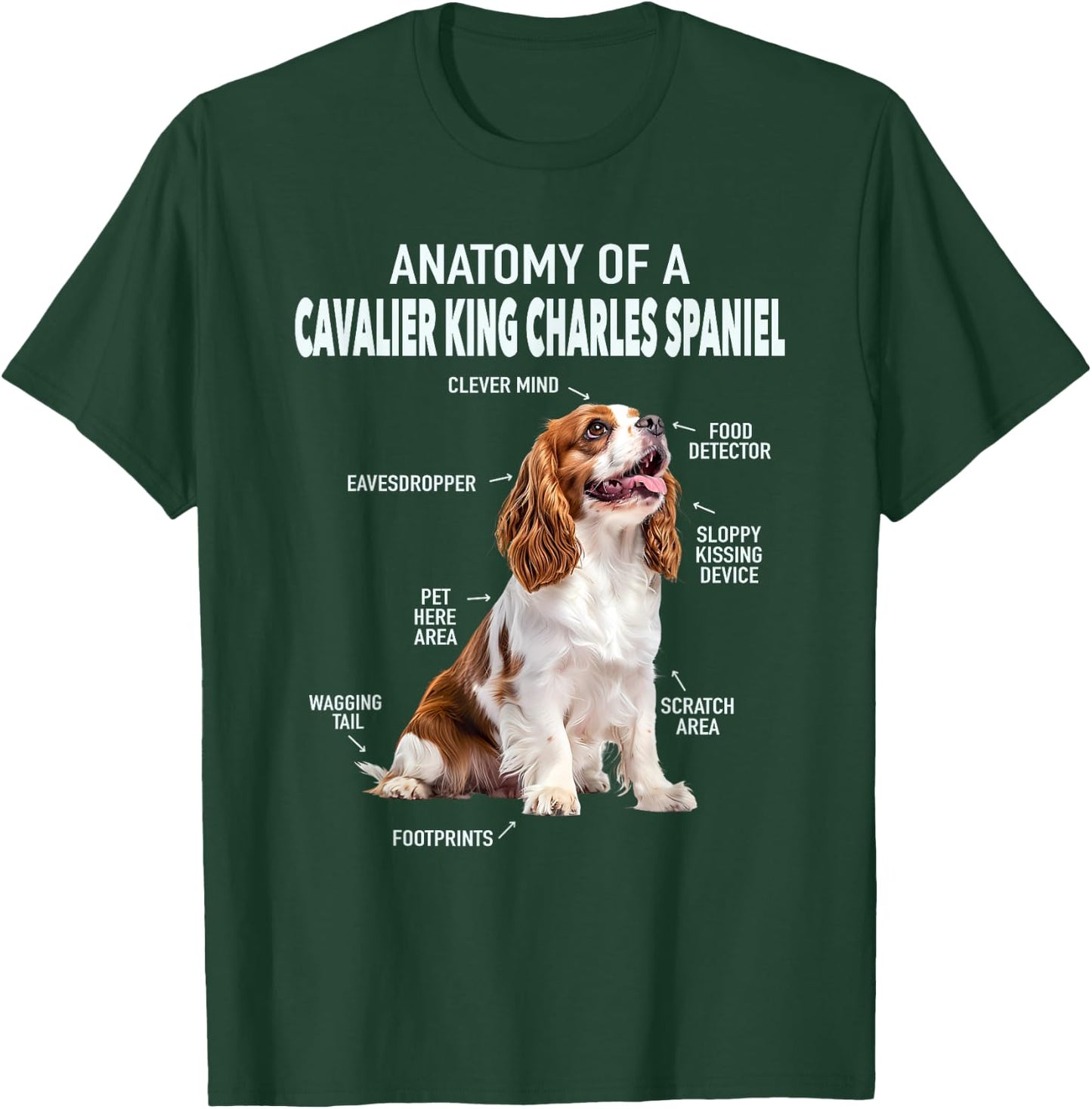 Anatomy Of A Cavalier King Charles Spaniel T-Shirt - T-Shirt | Forest