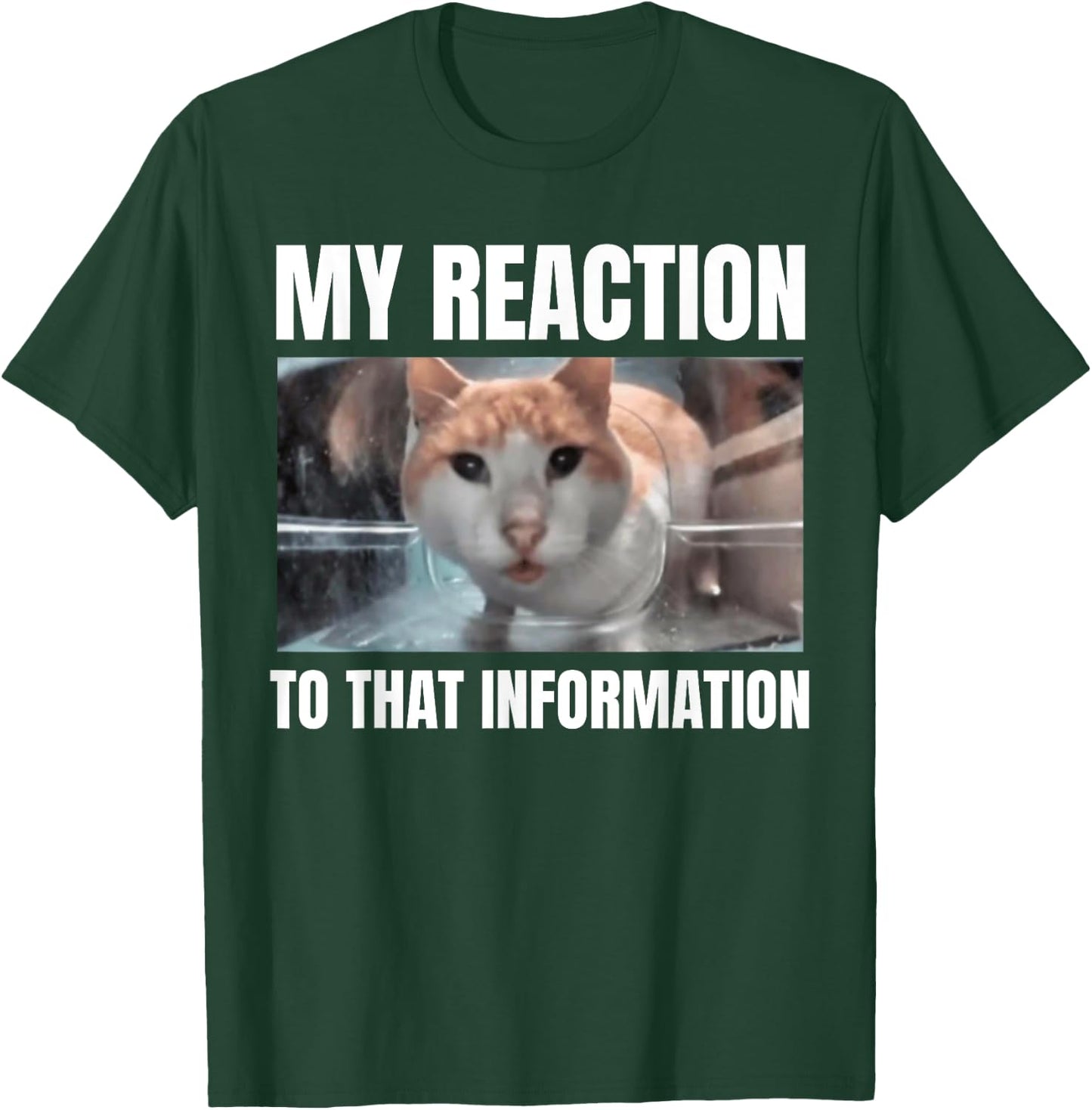 Hello Street Cat Funny Staring Bombastic Side Eye Meme Cats Women T-Shirt - T-Shirt | Forest