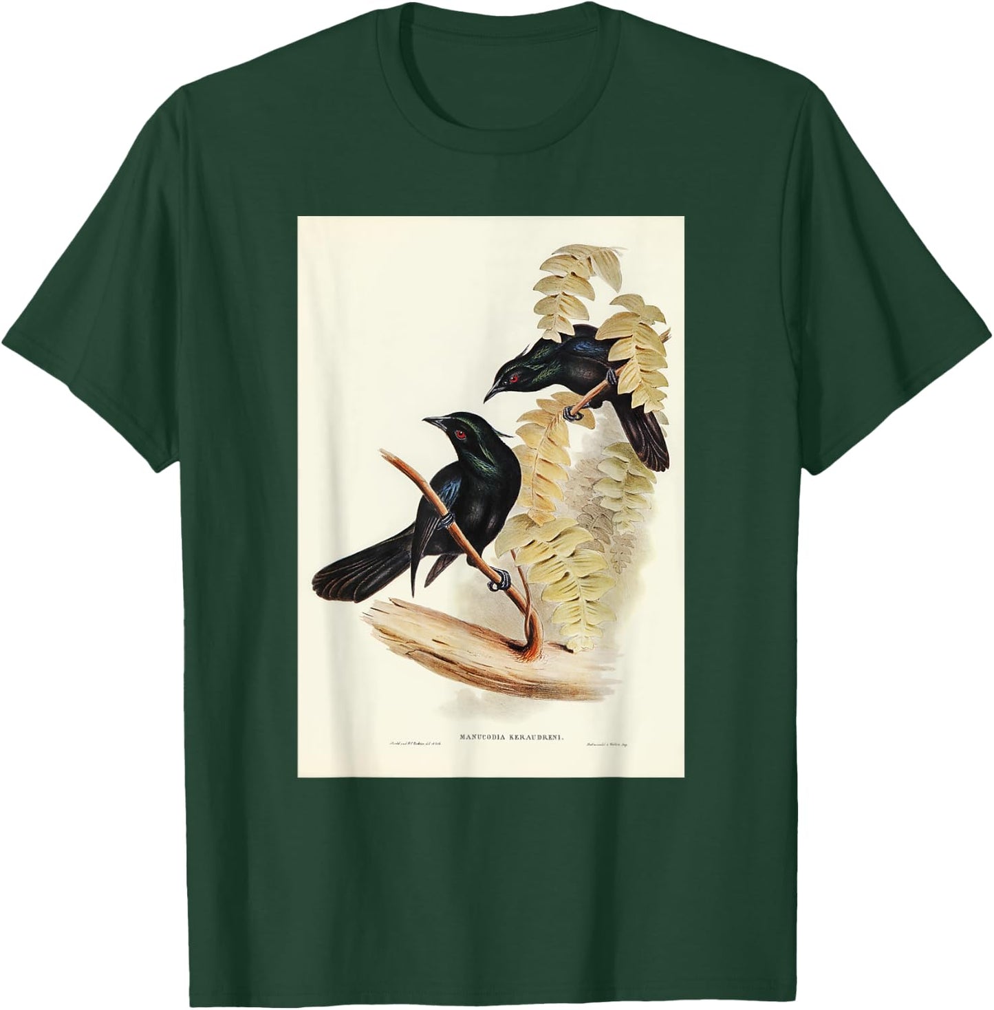 Keraudren's Crow-Shrike Birds Illustration & Women T-Shirt - T-Shirt | Forest