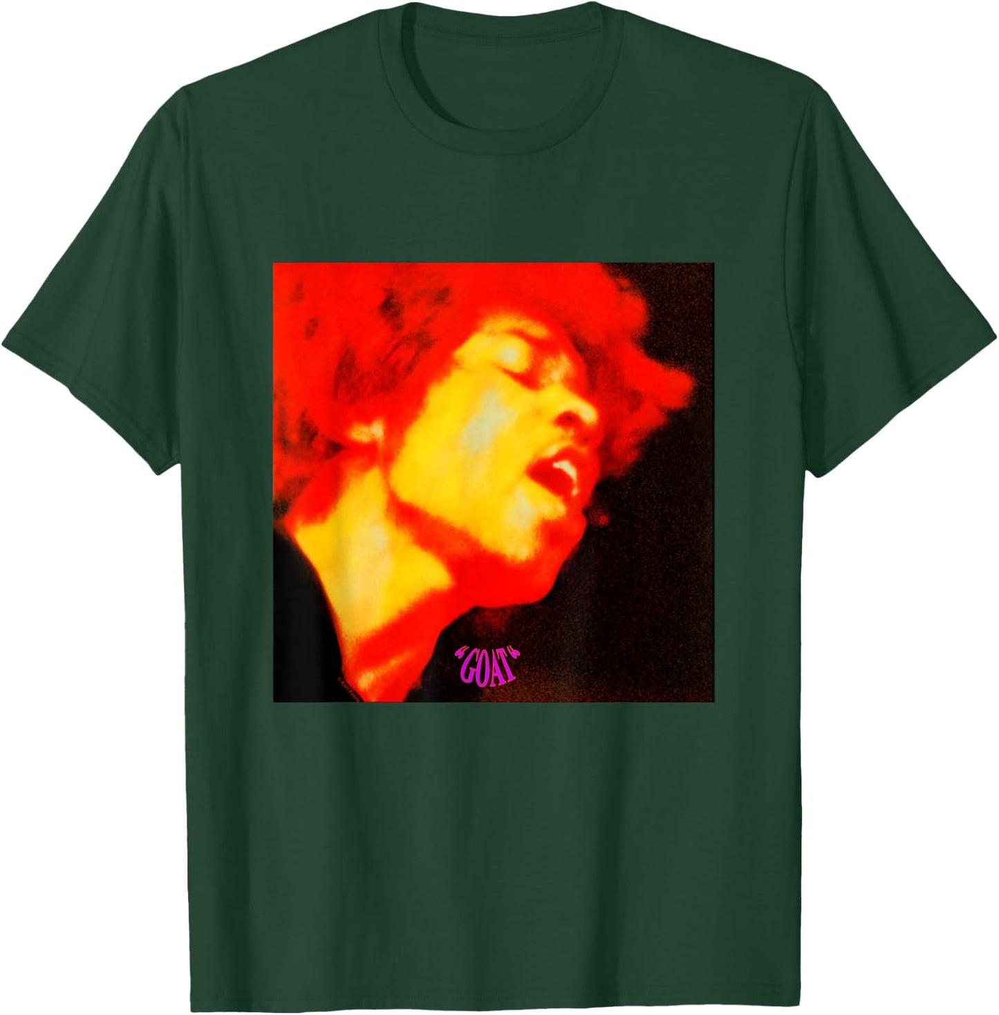Karl Ferris Jimi Hendrix Electric Ladyland Cover Art GOAT T-Shirt - T-Shirt | Forest
