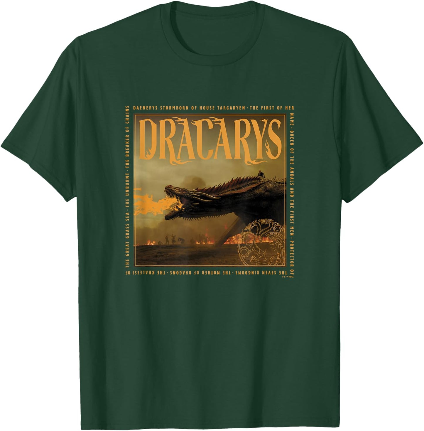Game of Thrones Dracarys Targaryen Dragon Text Box Panel T-Shirt - T-Shirt | Forest