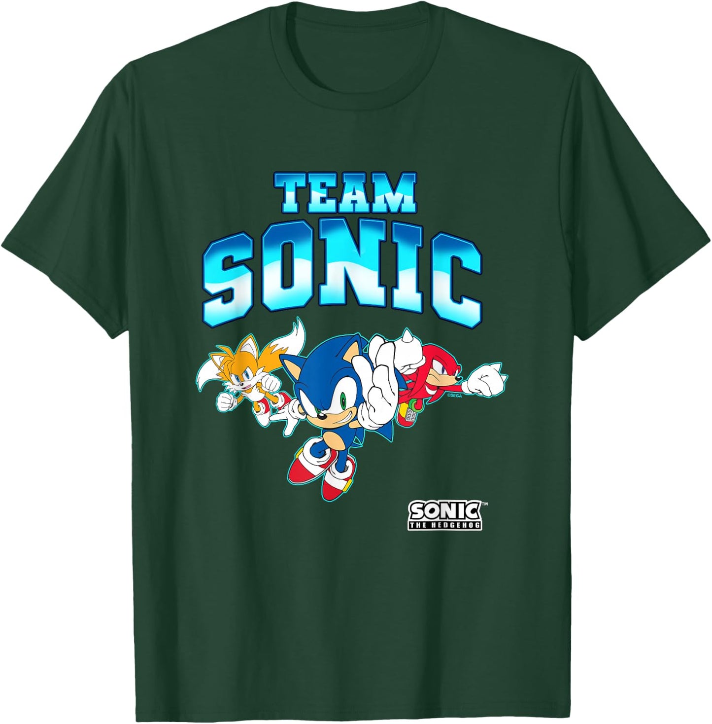 Sonic The Hedgehog Team Sonic Epic Group Shot T-Shirt - T-Shirt | Forest