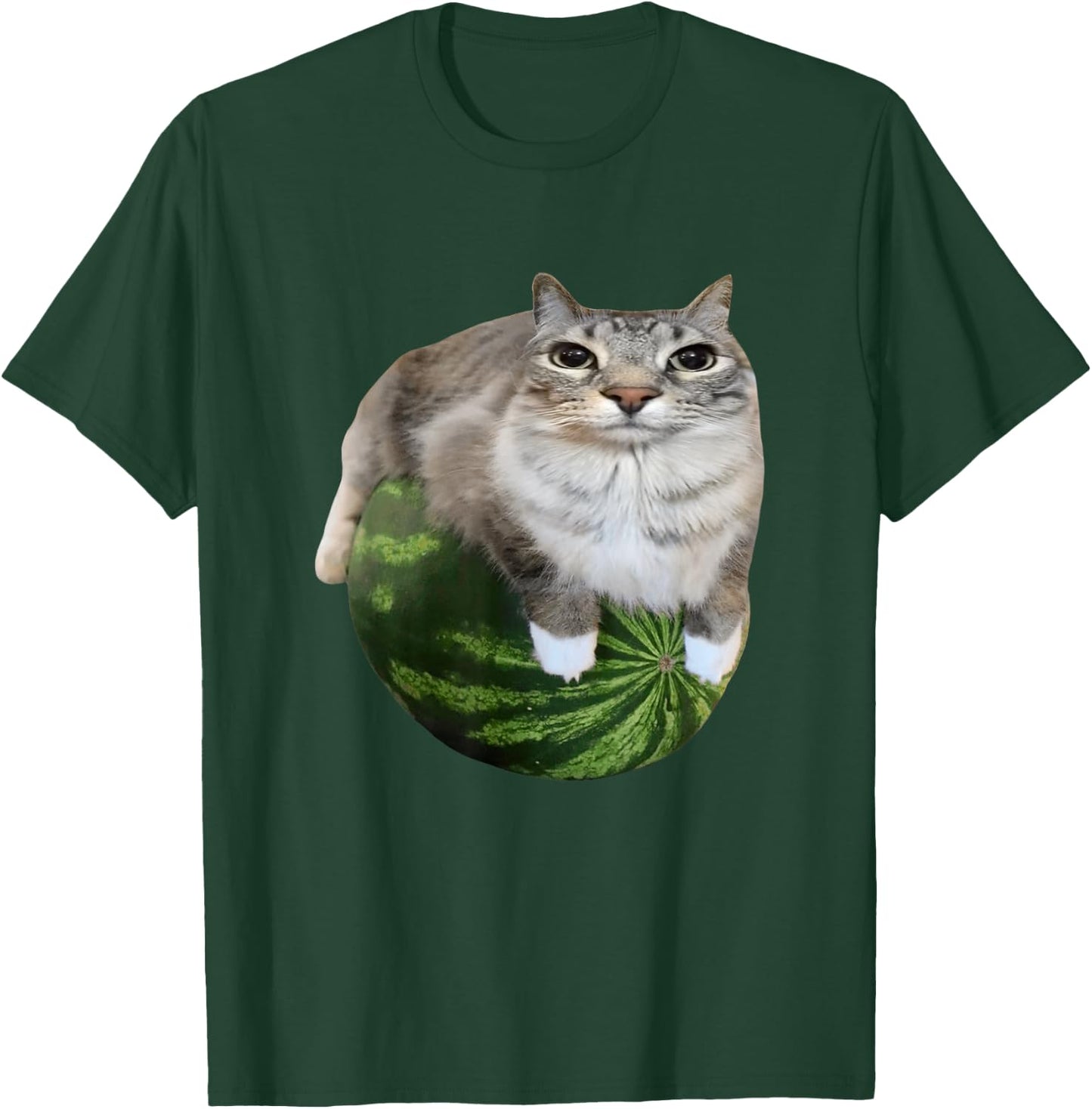 Watermelon Cat Silly Cat Meme T-Shirt - T-Shirt | Forest