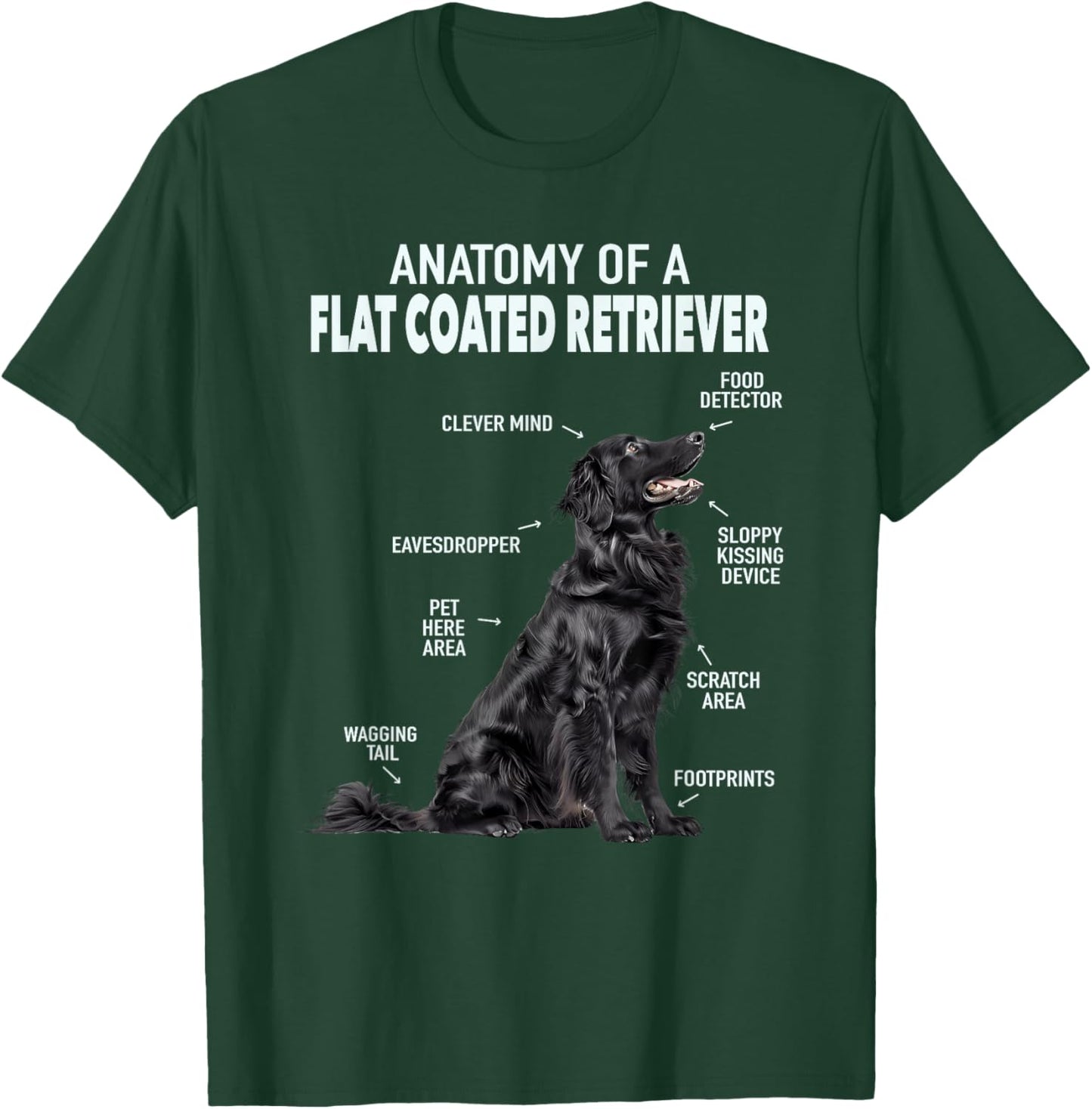 Anatomy Of A Flat Coated Retriever , Small, Black T-Shirt - T-Shirt | Forest