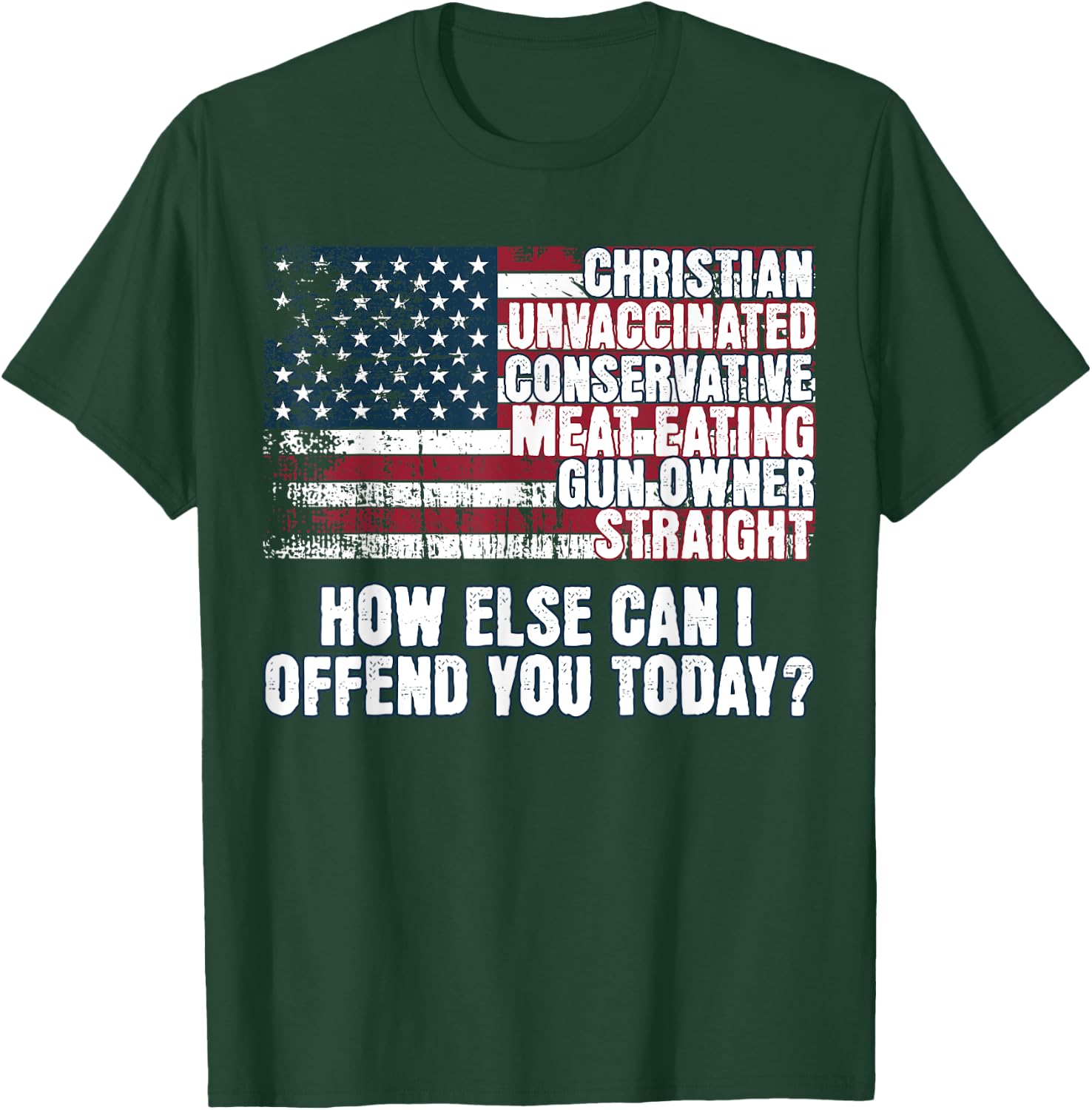 Christian Conservative... How Else Can I Offend You Today T-Shirt - T-Shirt | Forest
