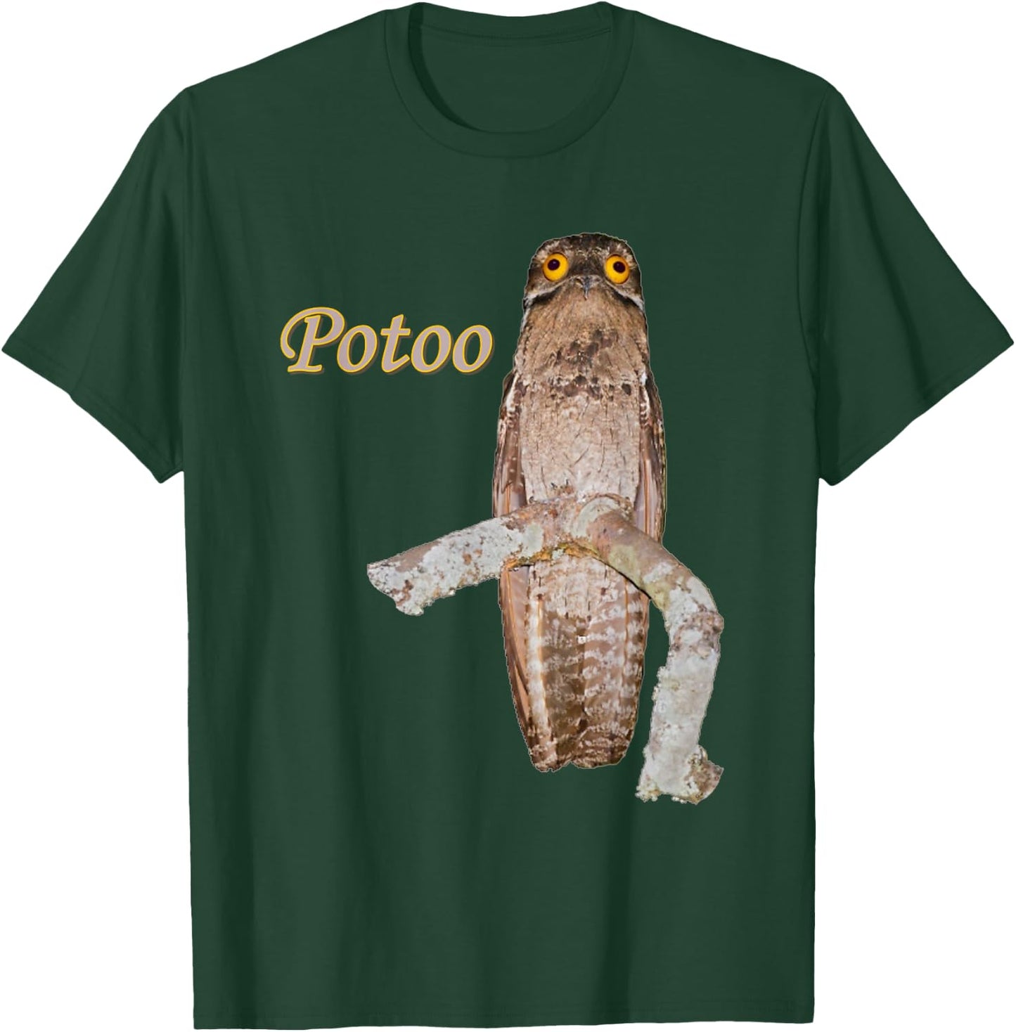 Potoo Bird Photo Funny Eyes T-Shirt - T-Shirt | Forest