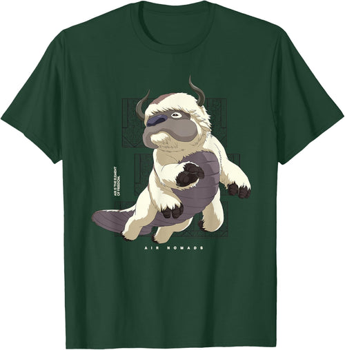 Avatar The Last Airbender Appa Flying Bison Air Nomads