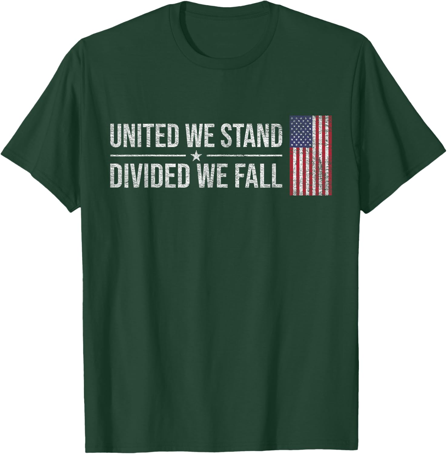 Usa Flag United We Stand Divided We Fall American Patriot T-Shirt - T-Shirt | Forest