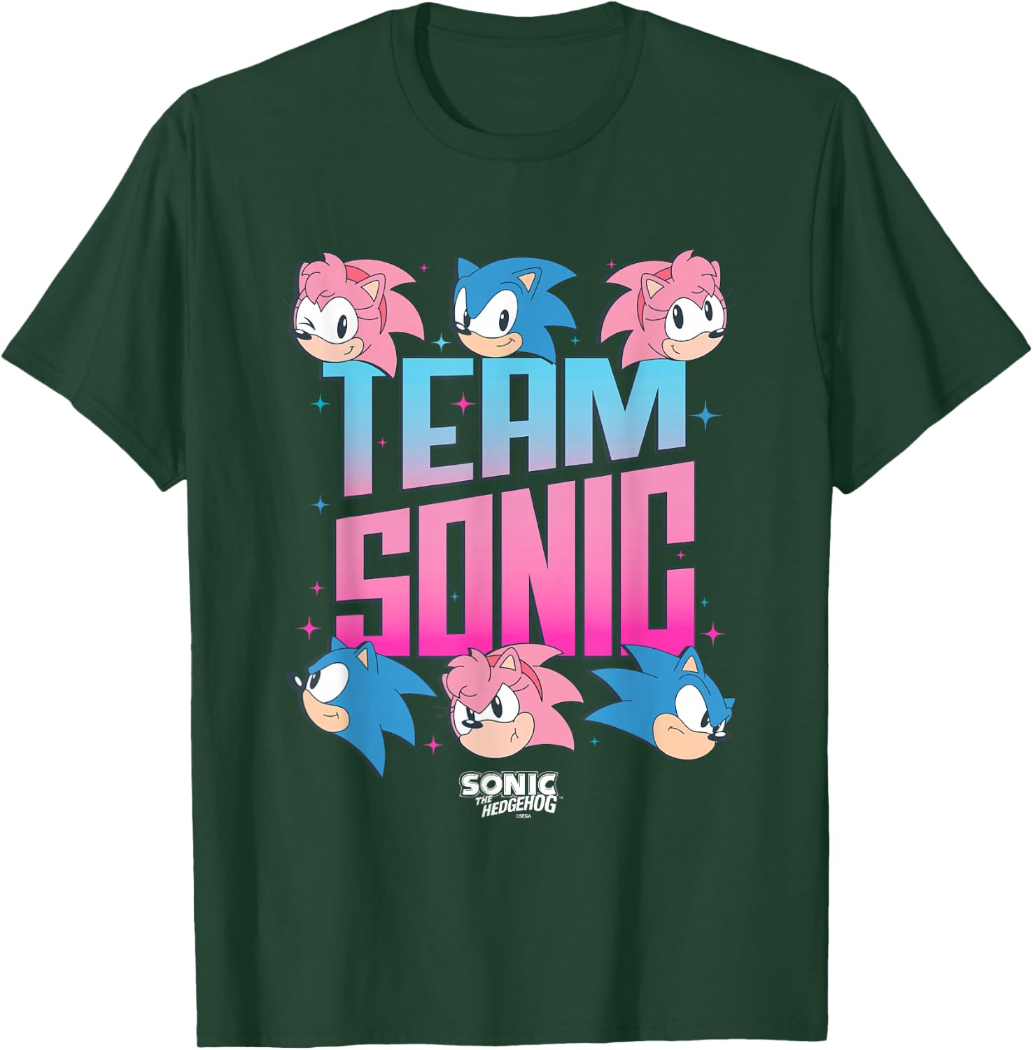 Sonic The Hedgehog Team Sonic Amy Rose Retro Logo T-Shirt - T-Shirt | Forest