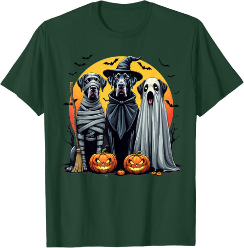 Great Dane Halloween Costume Mummy Witch Ghost