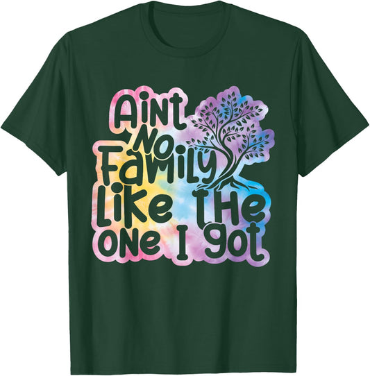 Ain't No Family Like The One I Got Funny Family Reunion 2026 T-Shirt - T-Shirt | Forest