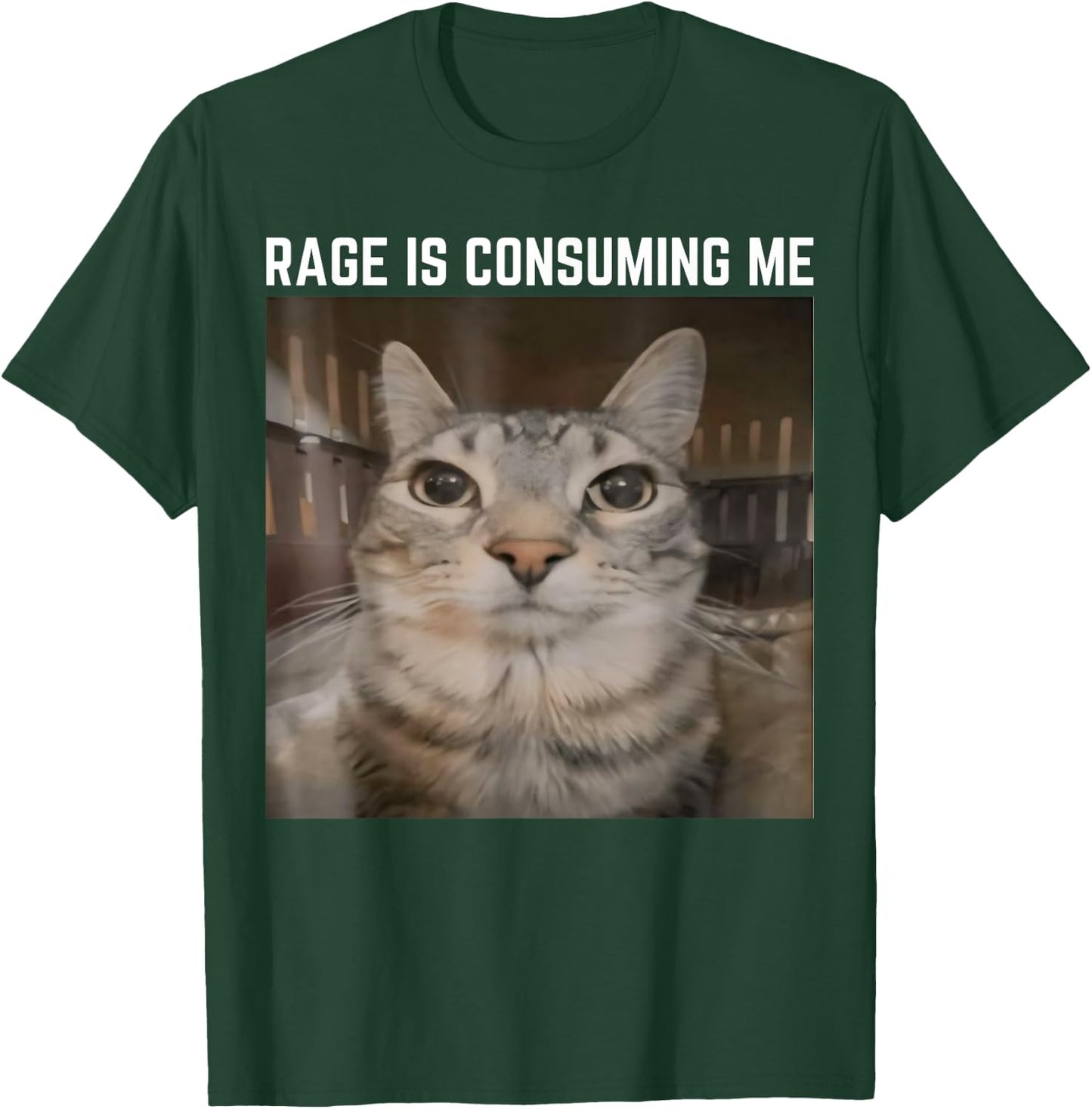 Rage is Consuming Me Meme Cat Meme Oddly Specific Memes Joke T-Shirt - T-Shirt | Forest