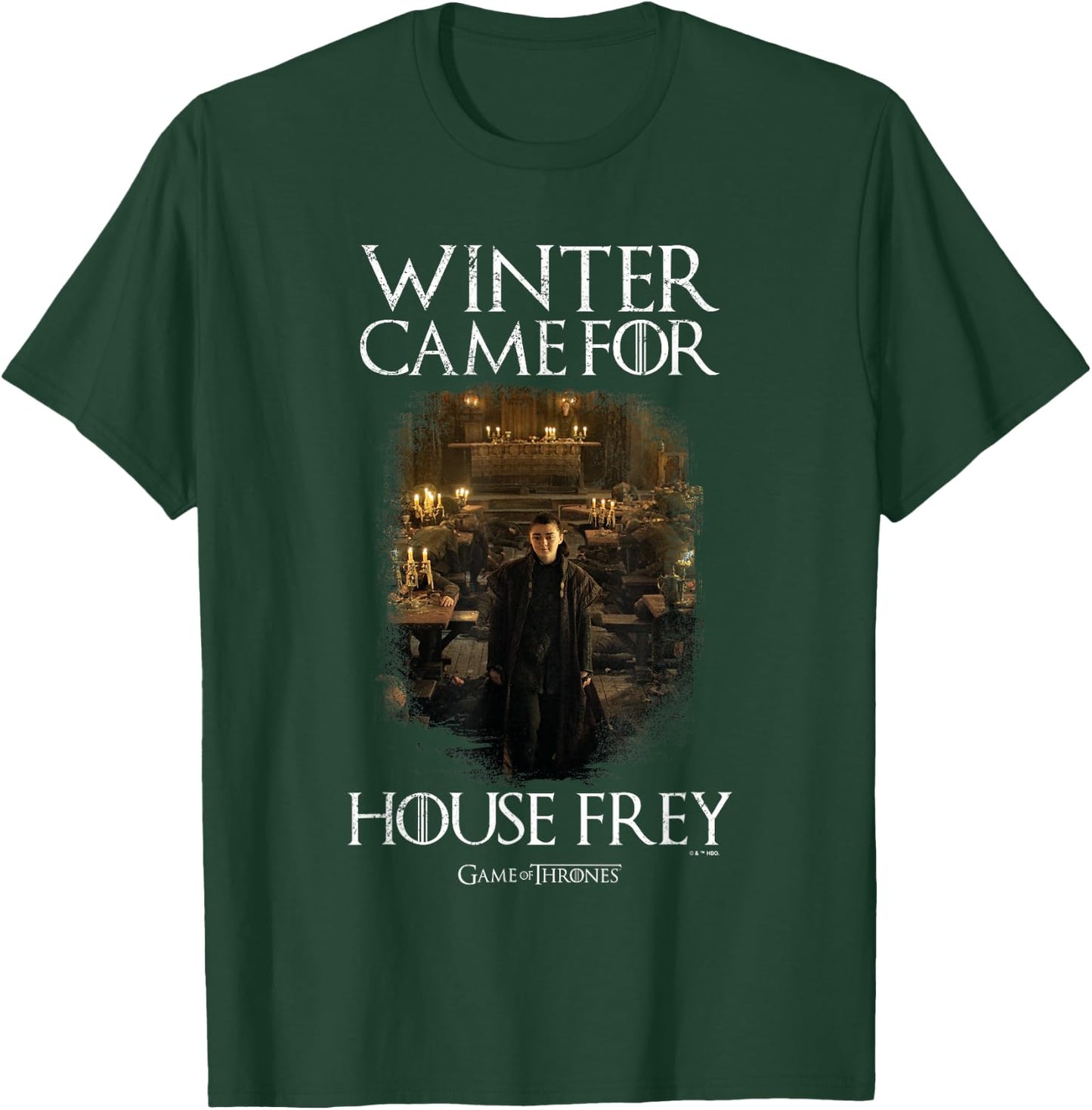Game Of Thrones Winter Came For House Frey Arya Vignette T-Shirt - T-Shirt | Forest