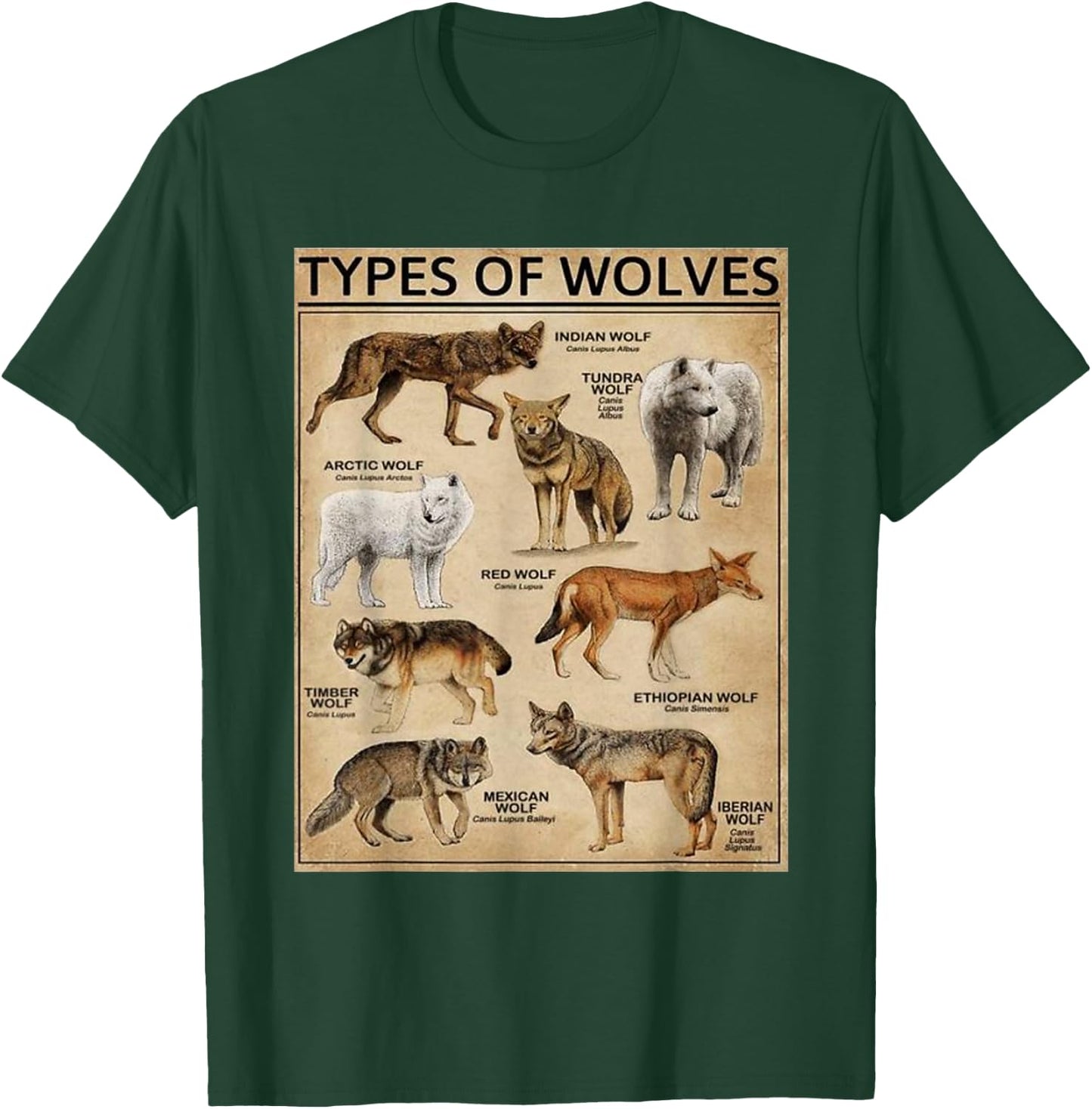 Wolf Types Animal Wolves of the World Educational Collection T-Shirt - T-Shirt | Forest