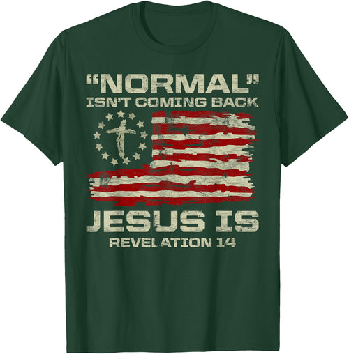 Normal Isn't Coming Back Jesus is Christian American Flag