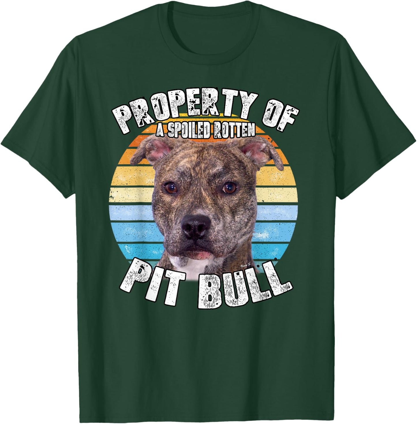 Pitbull Pit Bull Pittie Brindle Owner Lover Property Of T-Shirt - T-Shirt | Forest