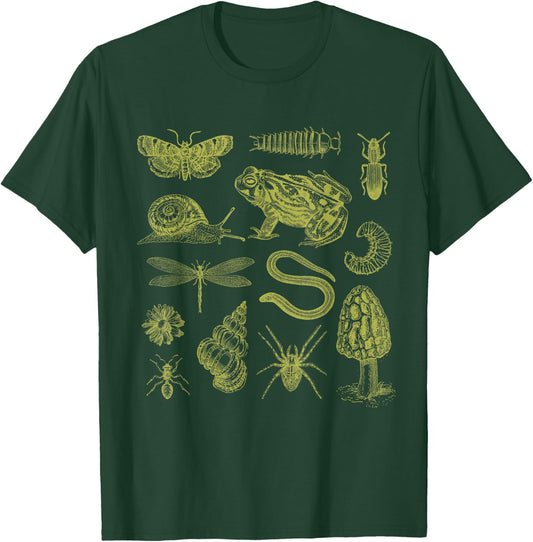 Frog Mushroom Moth Vintage Biology Goblincore Aesthetic T-Shirt - T-Shirt | Forest
