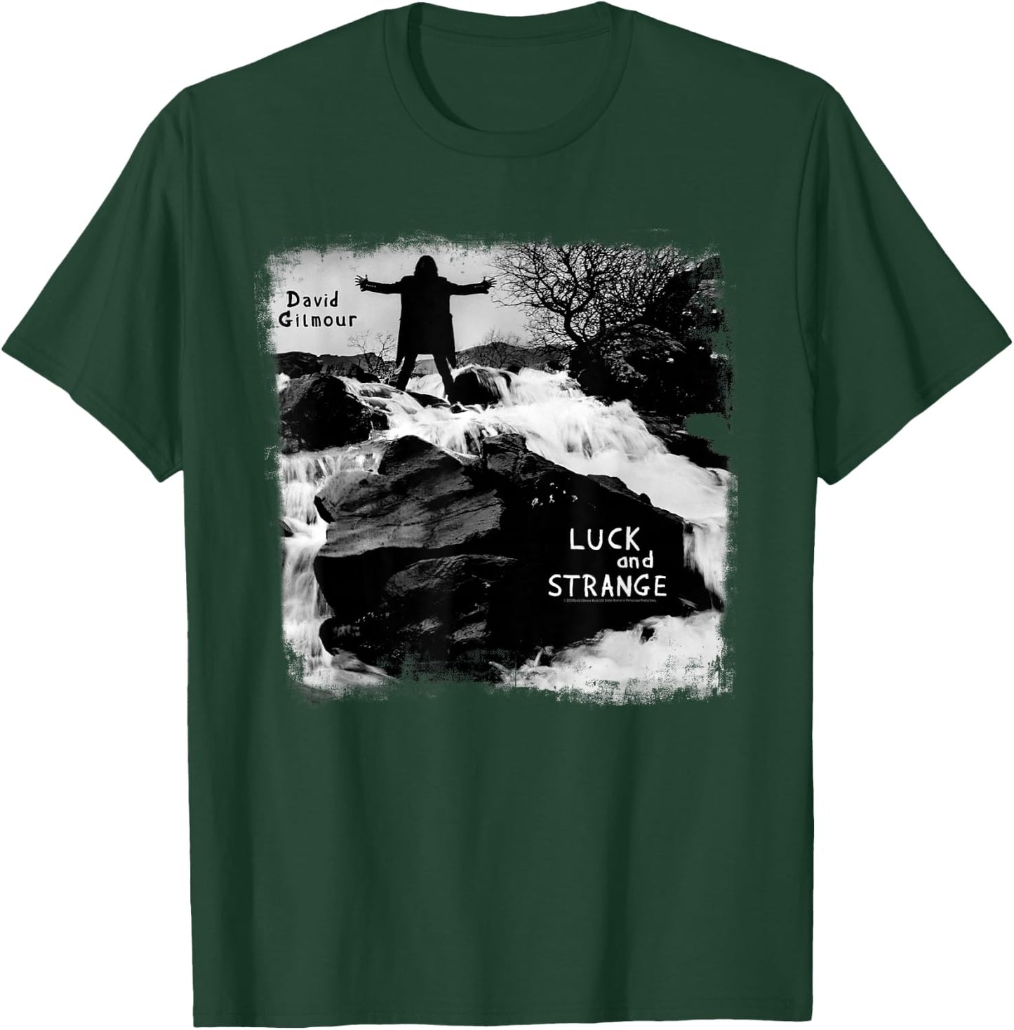 David Gilmour Luck and Strange T-Shirt - T-Shirt | Forest
