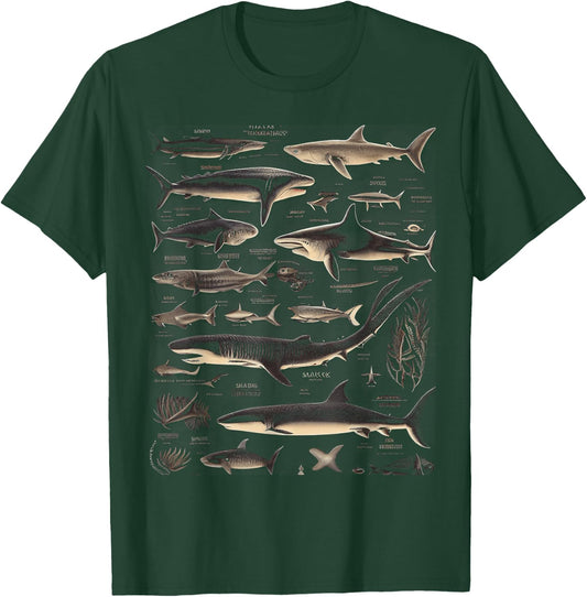 Types of Sharks Vintage Chart Entomology Graphic T-Shirt - T-Shirt | Forest