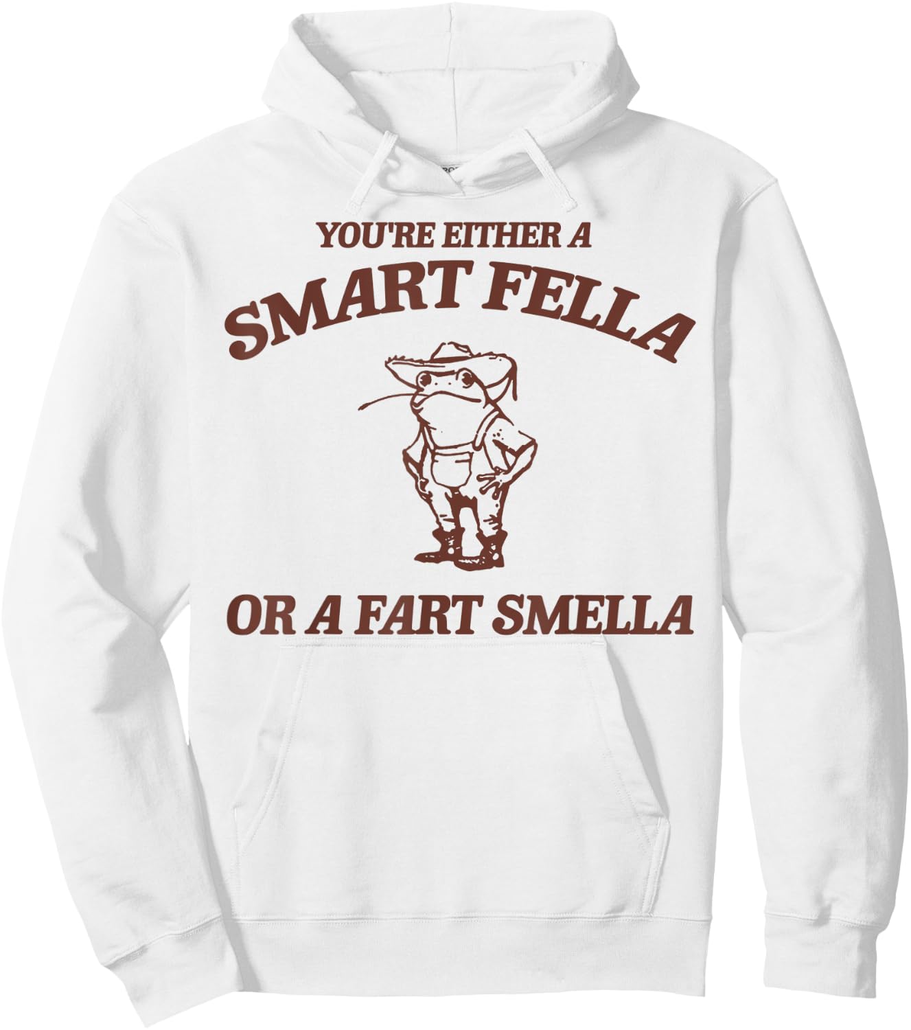 Are You A Smart Fella Or Fart Smella Vintage Frog Hoodie - Hoodie | White