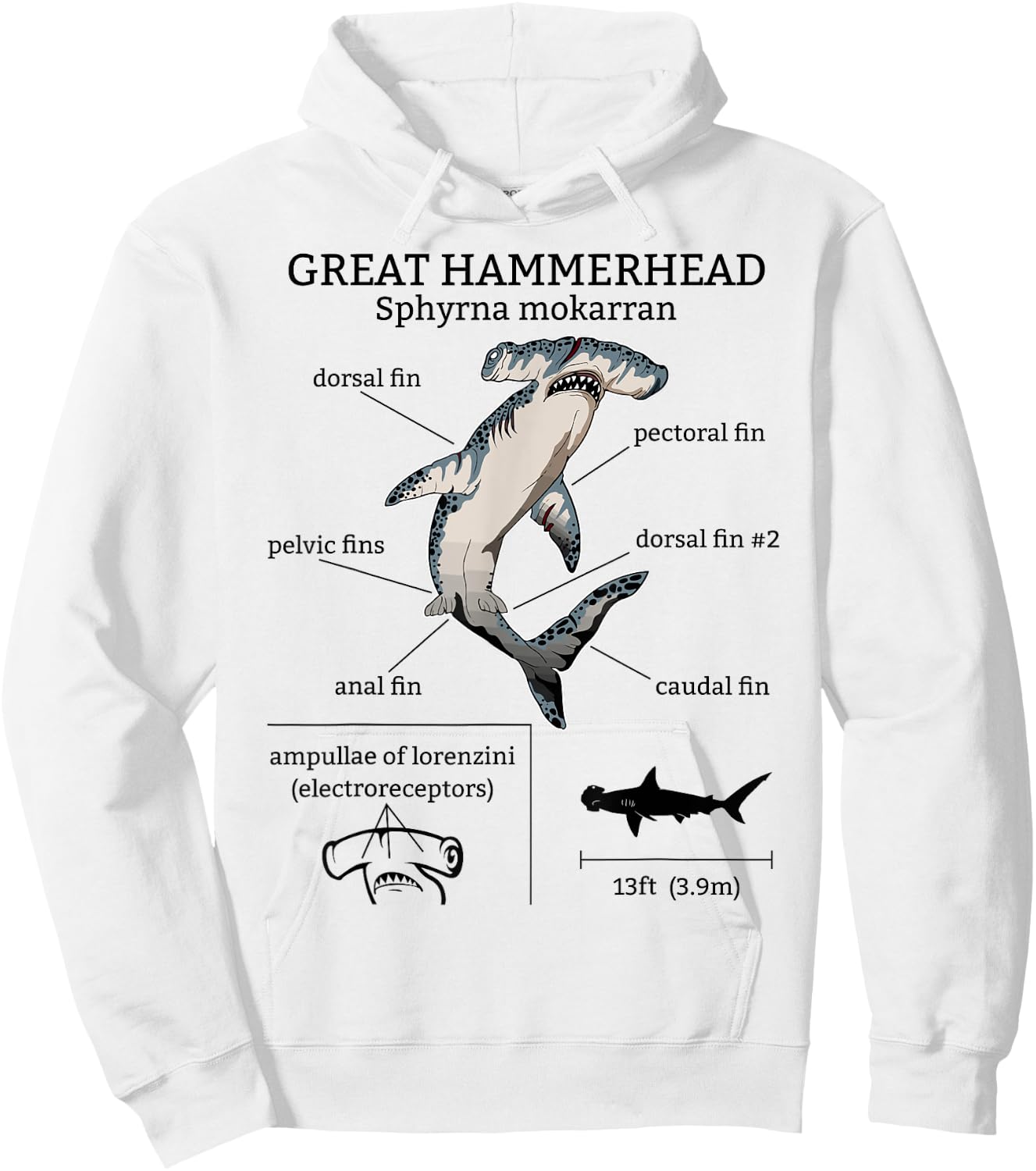 Great Hammerhead Shark Anatomy Ocean Animal Marine Biologist Hoodie - Hoodie | White