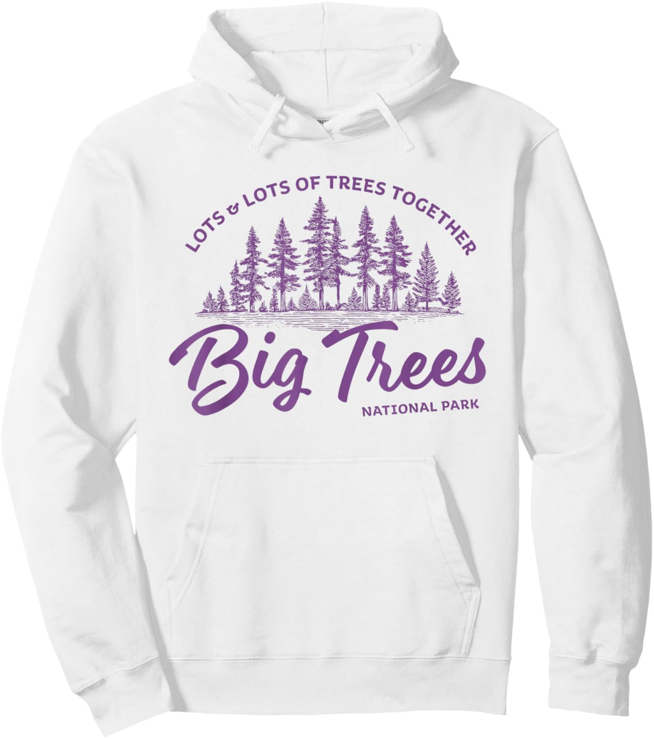 Big Trees Park - Hanson Band Fan Concert Tour Wear Hoodie - Hoodie | White