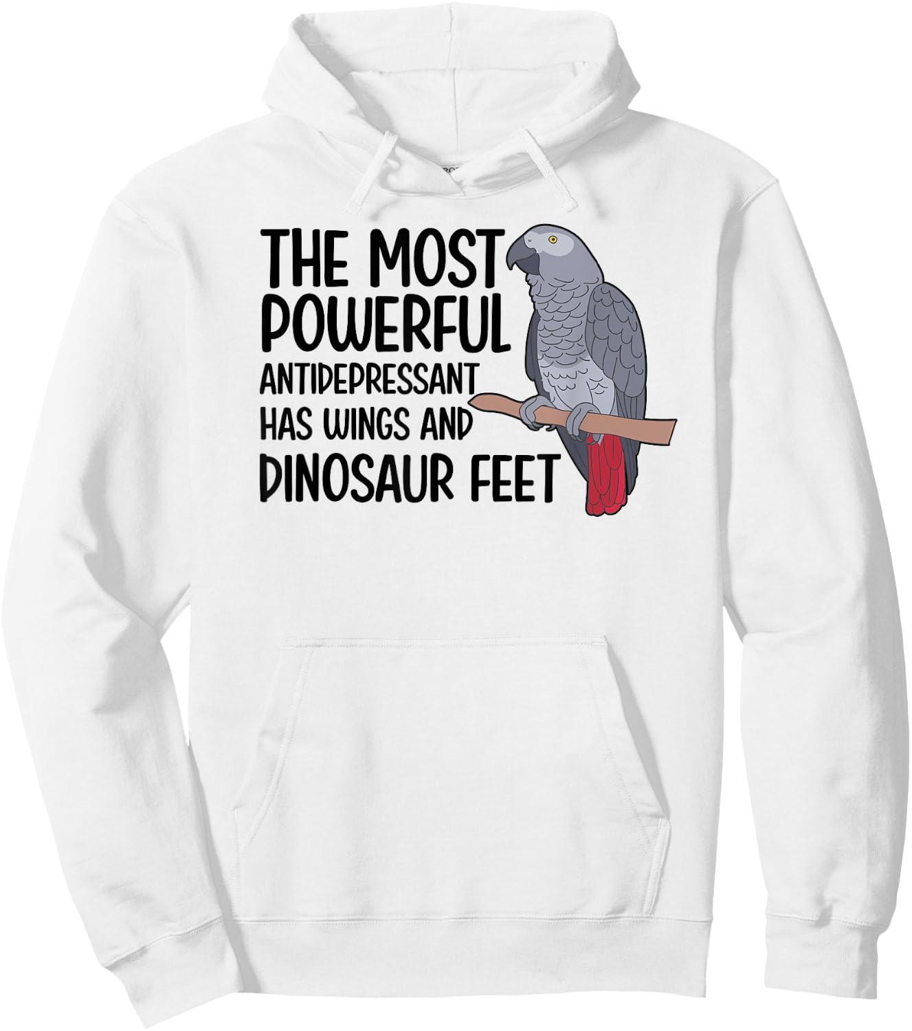 Dinousar Feet African Grey Owner African Grey Parrot Lover Hoodie - Hoodie | White