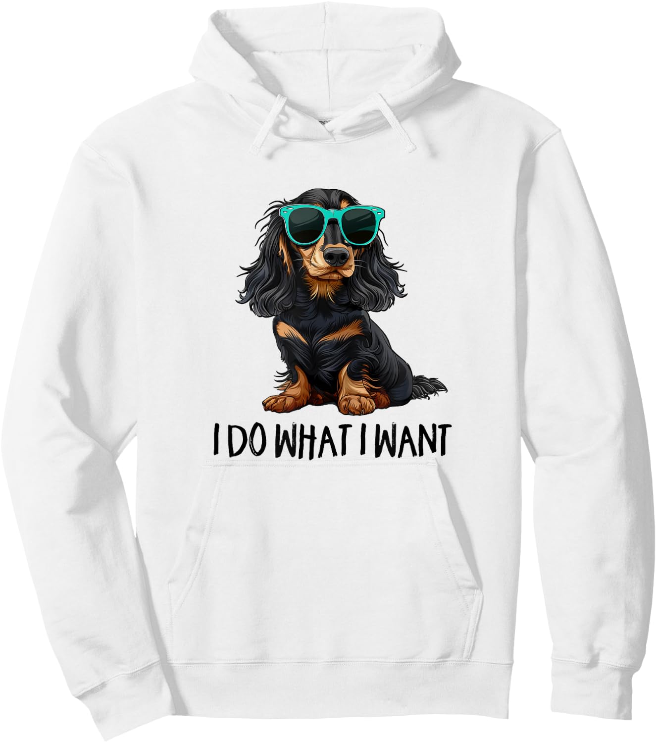Funny Do What I Want Black Long Haired Dachshund Lover Hoodie - Hoodie | White